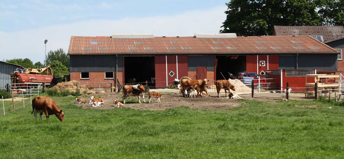 Tier- und Pferdepension Jessen